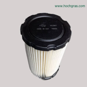 Briggs Stratton Luftfilter 594201 Bild1