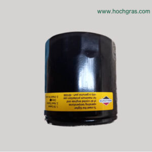 Briggs Stratton Ölftfilter 491056