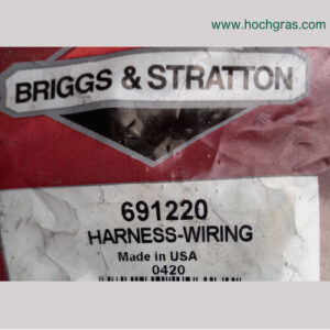 Briggs Stratton Verkabelung 691220 bild1